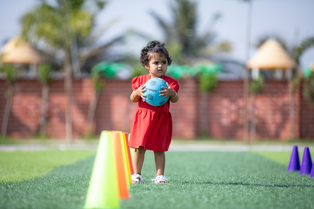专业足球场 专业足球场