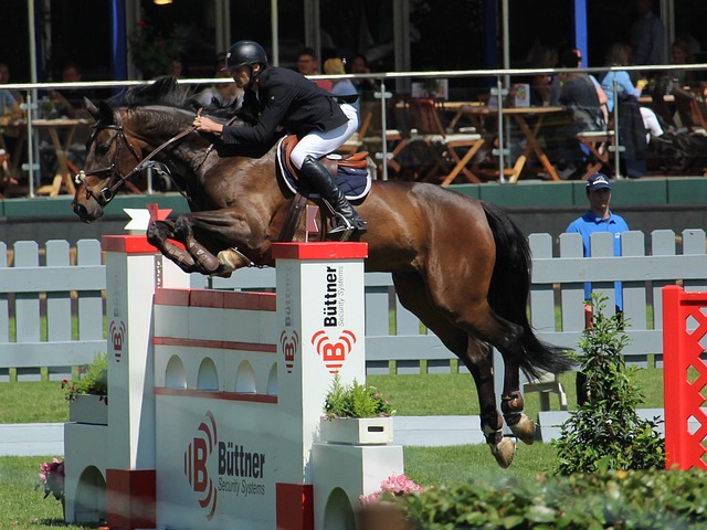 一份随后发 一份随后发