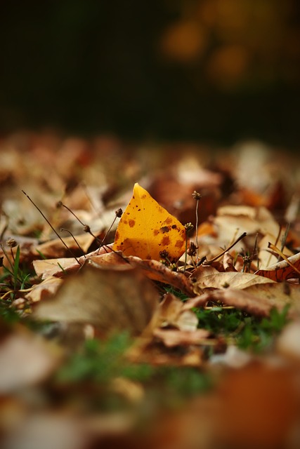 赛中便是运 赛中便是运